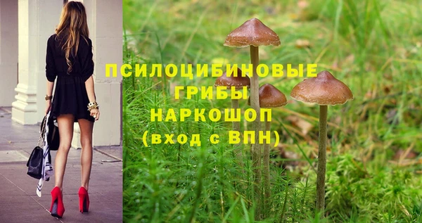 прущая мука Алзамай
