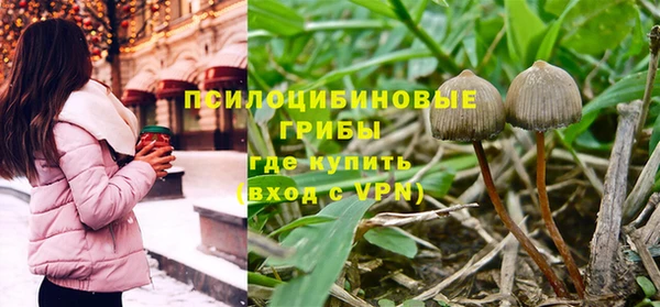 твердый Алексеевка