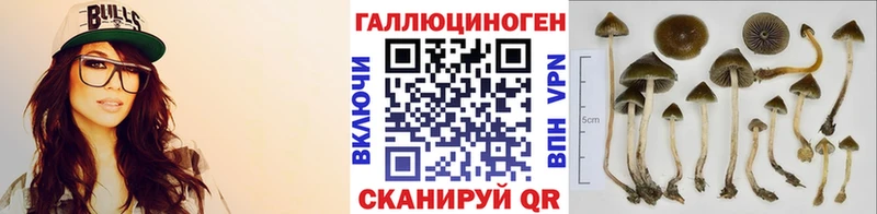 Псилоцибиновые грибы Psilocybine cubensis магазин продажи наркотиков Новоалтайск