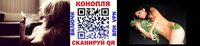 Конопля сатива  наркошоп  Новоалтайск 